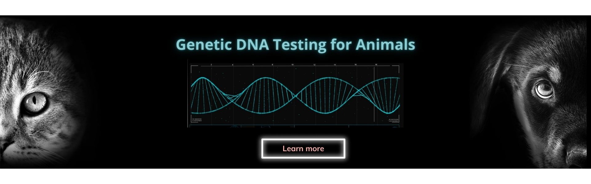 Genetic DNA testing cat and dog