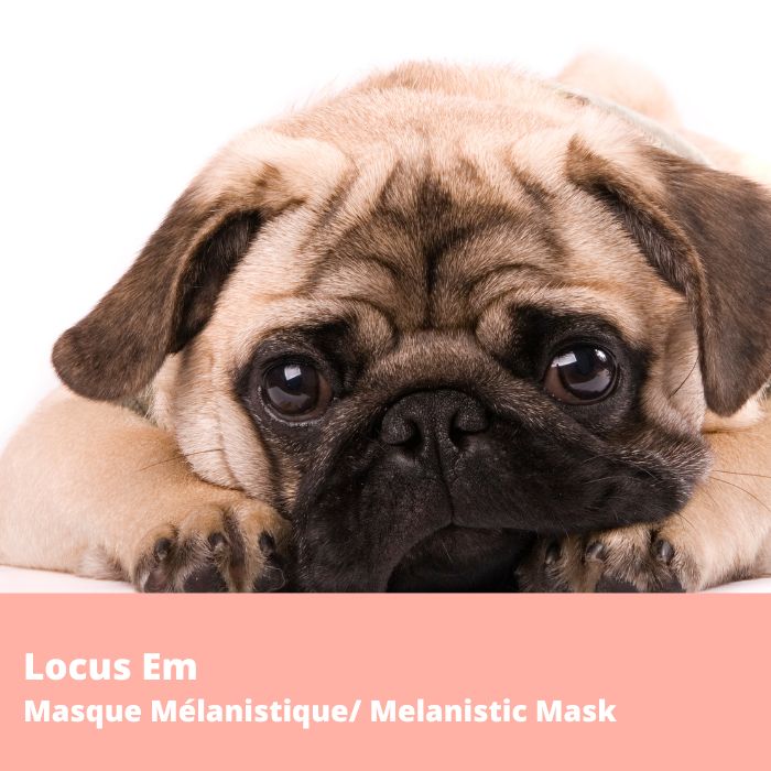 Locus E (Masque mélanistique, Em - MC1R)