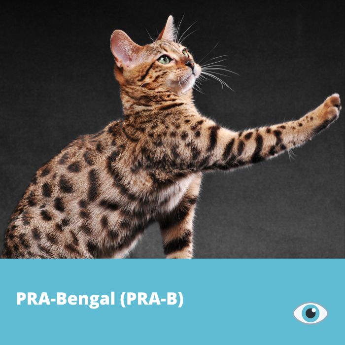 PRA-Bengal (PRA-B)
