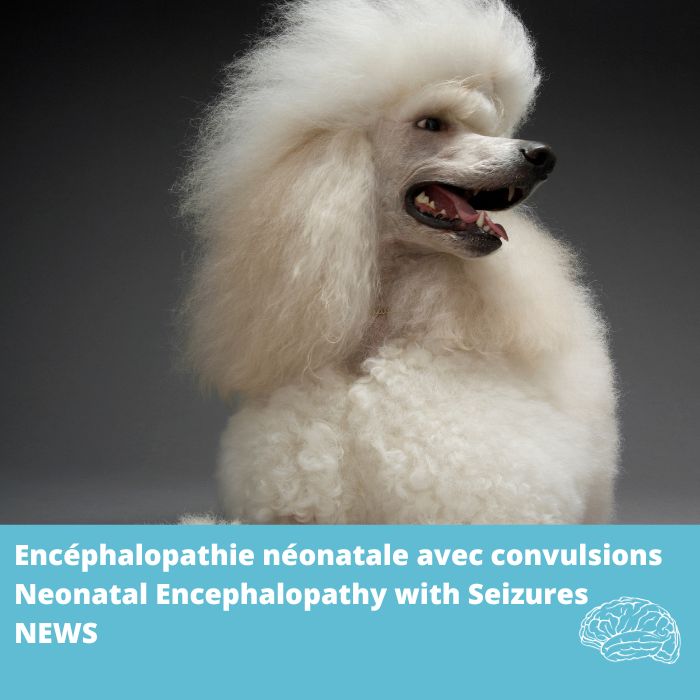NEWS-Encéphalopathie néonatale avec convulsions (ATF2)