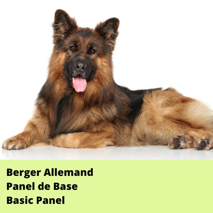 Panel - Berger Allemand *Base*