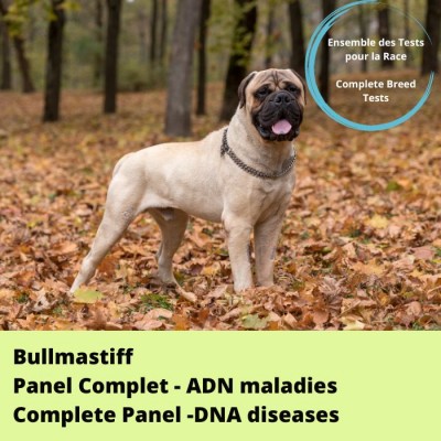 Panel - Bullmastiff