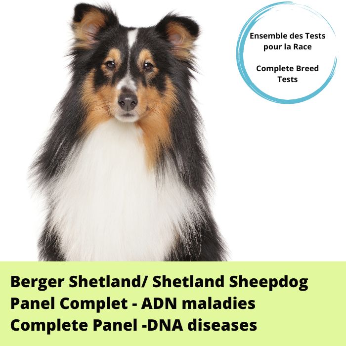 Berger Shetland- Panel
